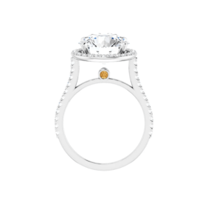 November's Citrine